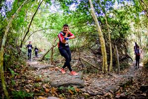 BIB: 
                            <button type="button" onclick="openModal(7048309)" class="btn btn-primary btn-sm float-right btn-popup" data-toggle="modal" data-target=".modal-high-quality">
                        <i class="fas fa-shopping-cart"></i> Add to Cart
                    </button>
                                            <button type="button" onclick="isThisMe(7048309, true)" class="btn btn-success btn-sm float-right btn-popup btn-isme hidden" data-toggle="tooltip" data-placement="bottom" title="นี่คือรูปของคุณใช่ไหม คลิกที่นี่เพื่อเอาเข้าอัลบั้ม">
                        <i class="fas fa-plus"></i> Add to album
                    </button>
                    <button type="button" onclick="isThisMe(7048309, false)" class="btn btn-warning btn-sm float-right btn-popup btn-isnotme hidden">
                        <i class="fas fa-ban"></i> Remove from album
                    </button>